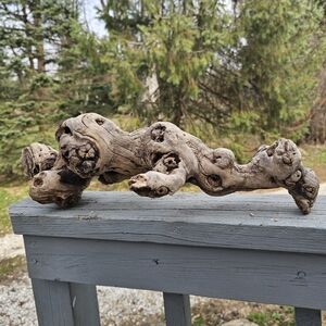 Natural Driftwood Sculpture